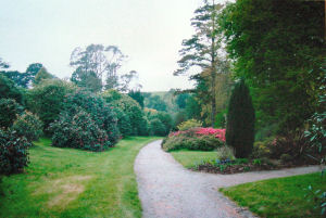 The Arboretum & South American Garden